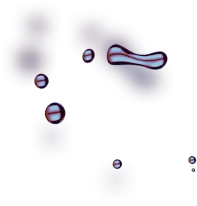 Gas i800 Folex - Mengungkap Tenaga Profesional Luar Biasa yang Memberdayakan Tim Kami yang Bersemangat